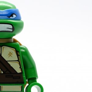 Leonardo