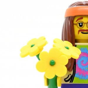 Hippie