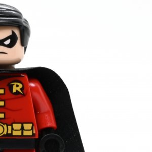 Robin