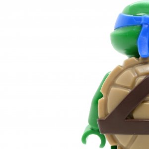 Leonardo