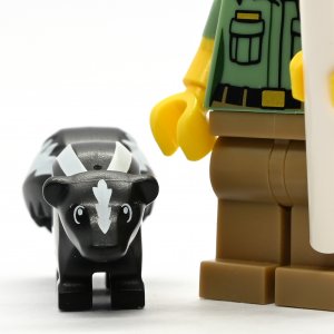 Animal Control Officer