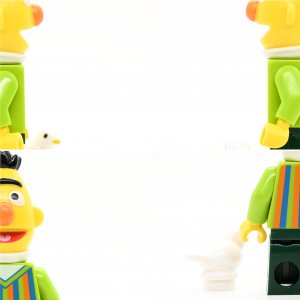 Bert