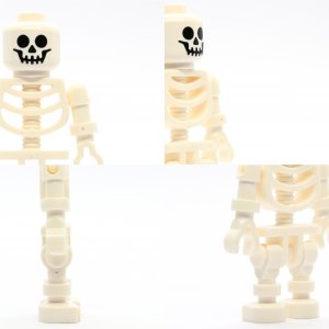 Skeleton with Standard Skull