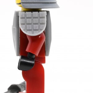 Samurai Warrior