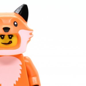 Fox Costume Girl