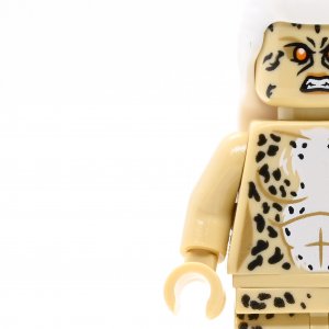 Cheetah (Dr Barbara Minerva)