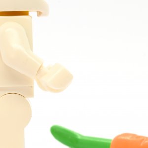 Bunny Suit Guy