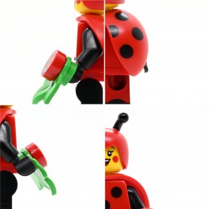 Ladybug Girl