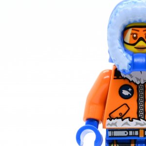 Arctic Explorer