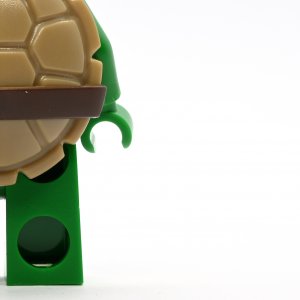 Leonardo