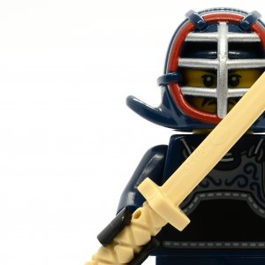 Kendo Fighter