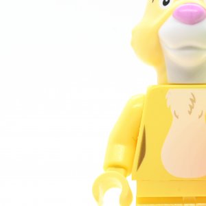 Rabbit