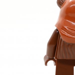 Wicket (Ewok)