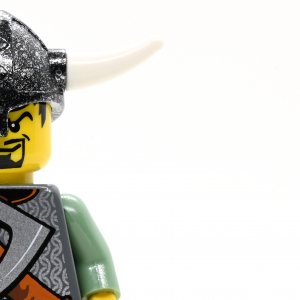 Viking Warrior 3c
