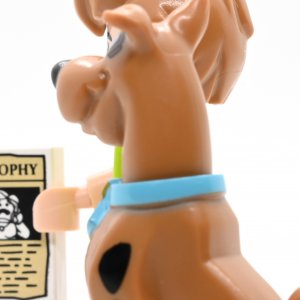 Shaggy Roggers