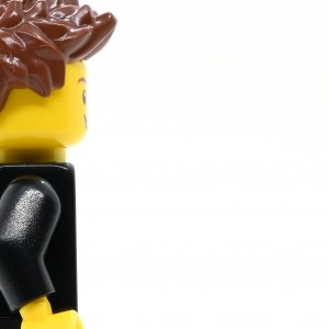 Lego Store Employee