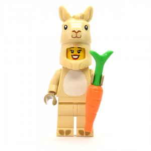 Llama Costume Girl