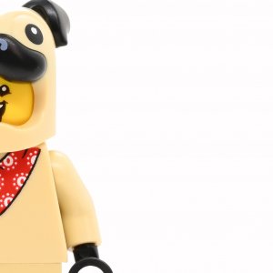Pug Costume Guy