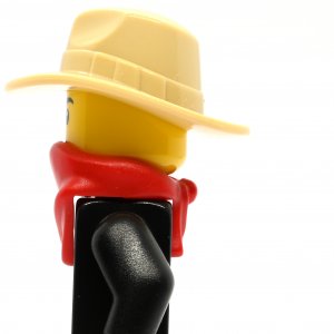 Gold Prospector
