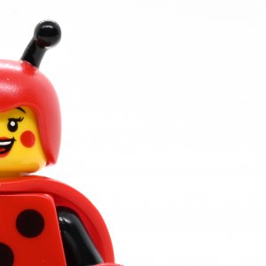 Ladybug Girl