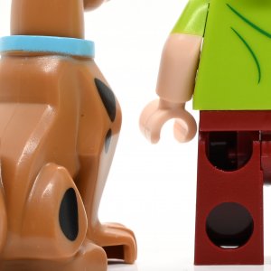 Shaggy Roggers