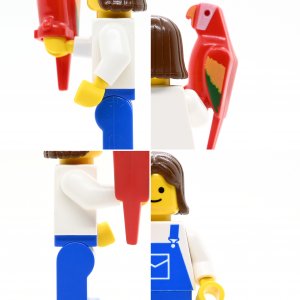Community Worker