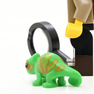 Jungle Explorer