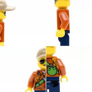 Jungle Explorer