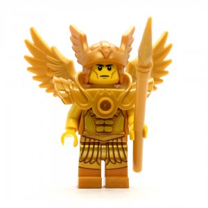Flying Warrior