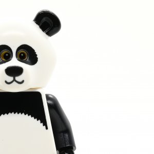 Panda Guy