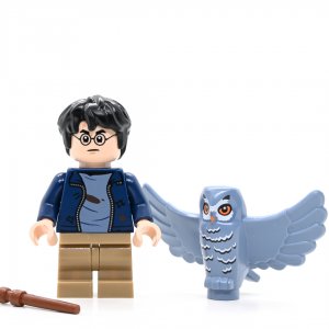 Harry Potter