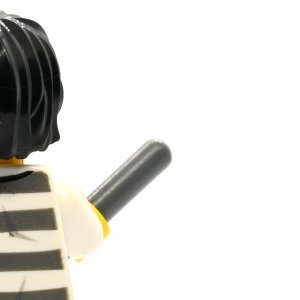 Mountain Police Prisoner