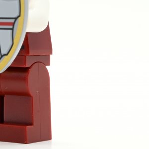 Castle Guard