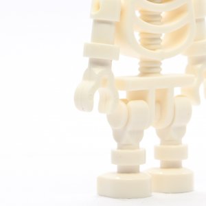 Skeleton with Standard Skull