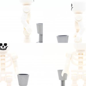 Skeleton 