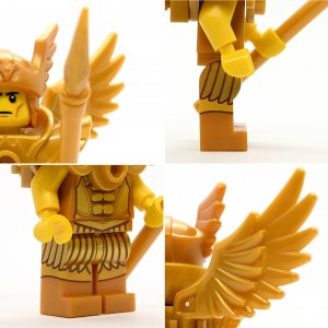 Flying Warrior