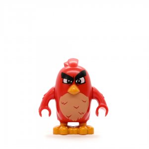 Annoyed Angry Bird