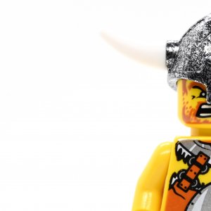 Viking Warrior 6b