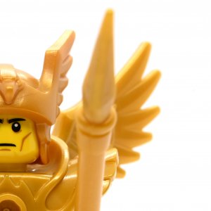Flying Warrior
