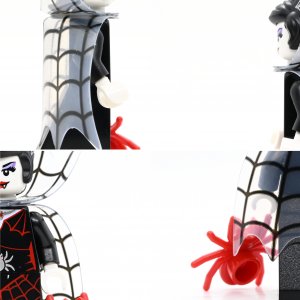 Spider Lady