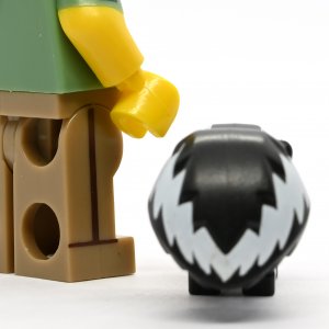 Animal Control Officer