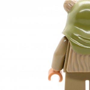 Ewok Warrior