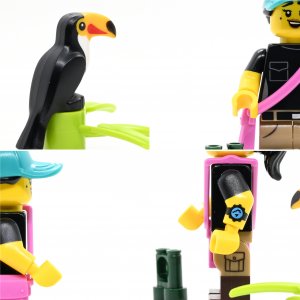 Birdwatcher