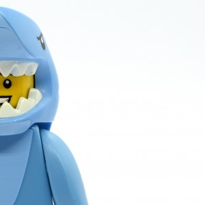 Shark Suit Guy