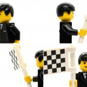 F1 Race Official