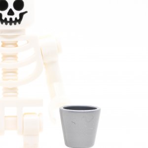 Skeleton 