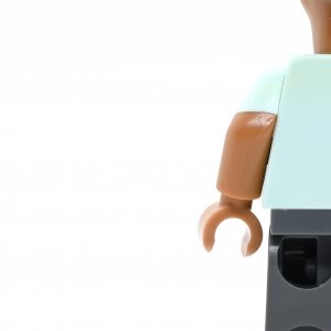 Apu Nahasapeemapetilon