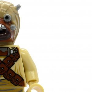 Tusken Raider
