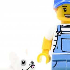 Dog Sitter