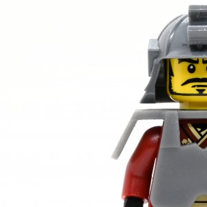 Samurai Warrior